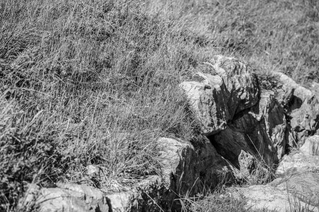 Hochwasserschutz Ippachbach:Detail Steinschlichtung